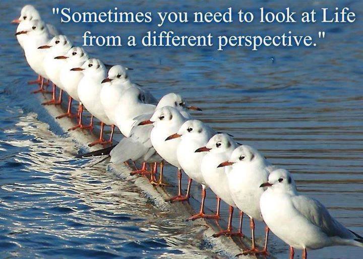 different perspectives