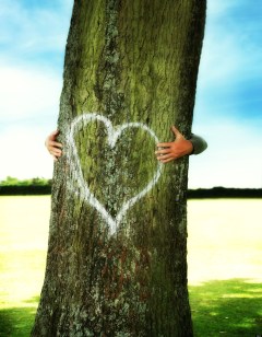 self compassion and fun