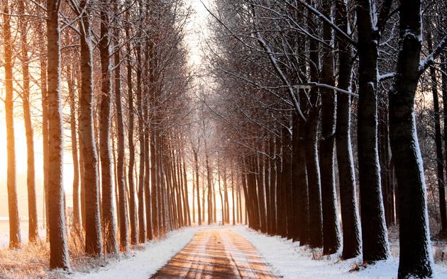 winter road
