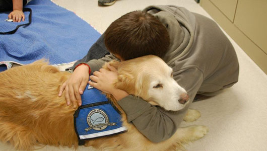 loving kindness dog