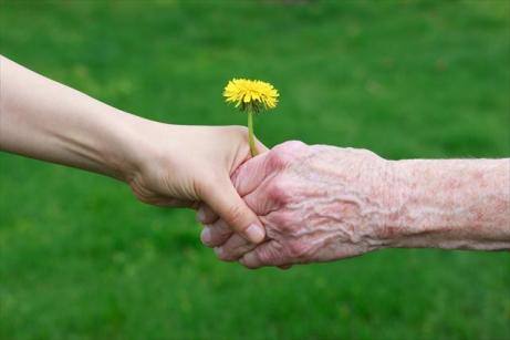 young hand giving flower to old hand