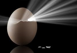 Transformation - egg