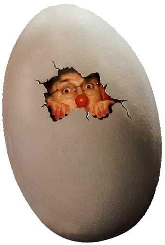 egg humor