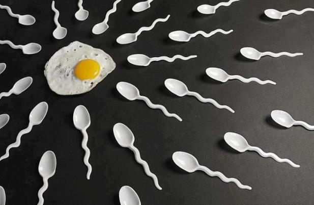 egg and sperm spoons