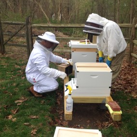Bee keeping