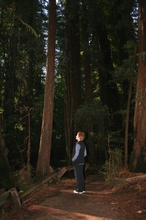 Val in Armstrong Woods
