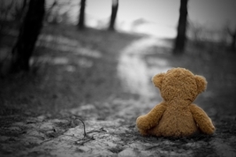teddy all alone