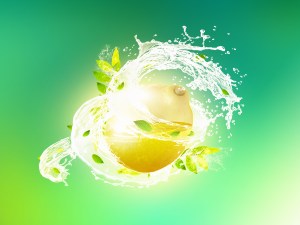 lemon life