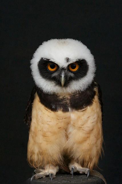 24449_10152421060730593_1541889737_n