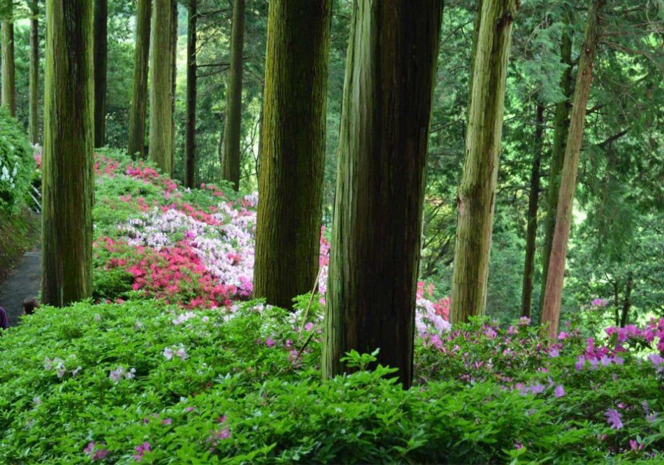 947294_413415508757149_1851022551_n