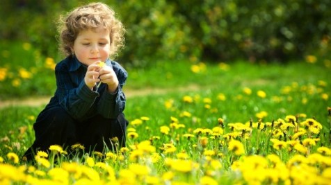 Child looking at flower