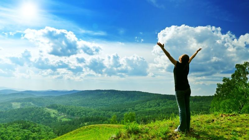 wholeness and freedom