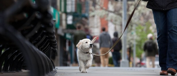 confidence is very attractive