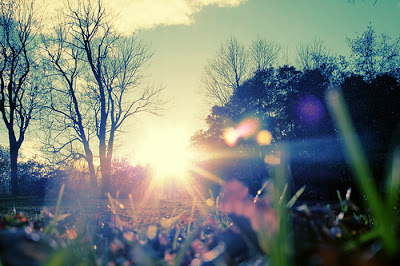 Where the Light&nbsp;Enters