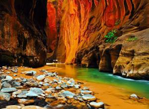 11001921_801093893293775_2808192581327980992_n