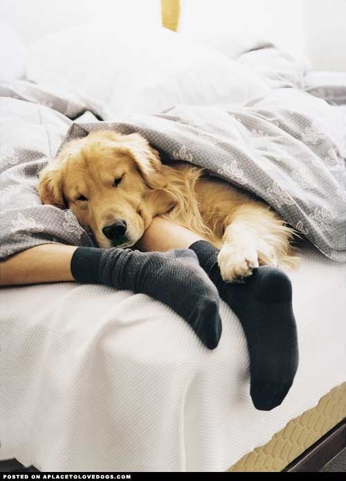 stillness in waking up