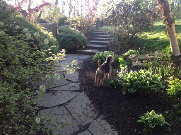 Teddy welcomes Spring