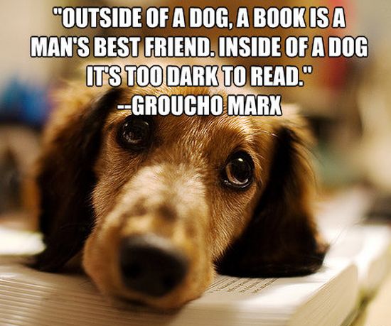 dog and book quote