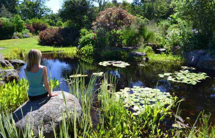 ☀️ Val’s July Yoga Community&nbsp;News☀️