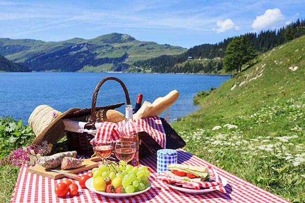 enjoy picnics