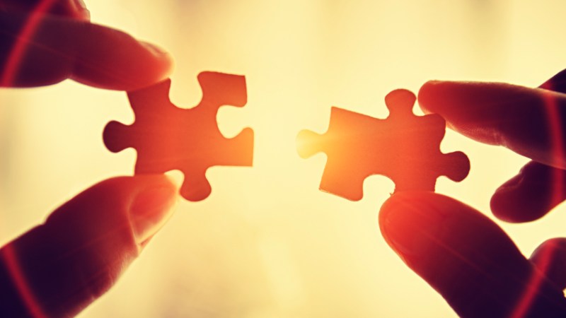 pieces of the puzzle