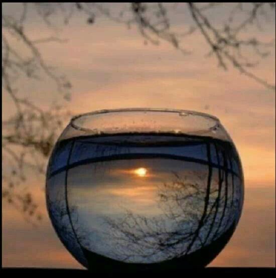 wait for water to clear