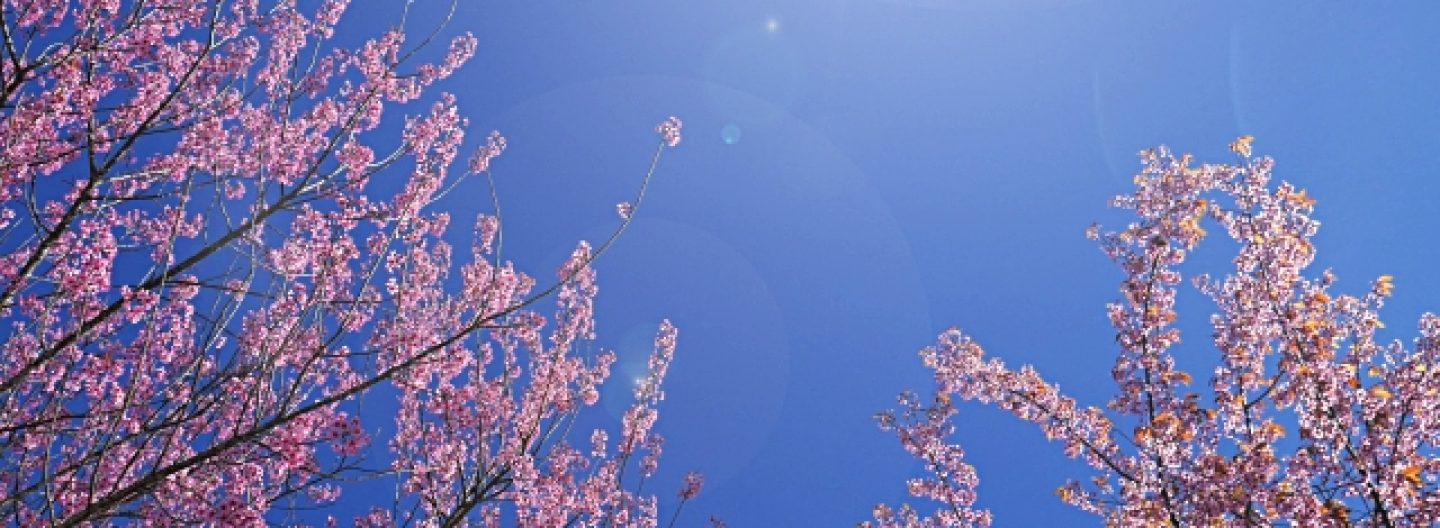 Find Your Middle Ground