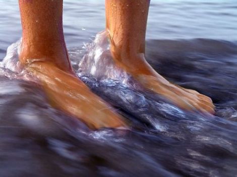 getting your feet wet