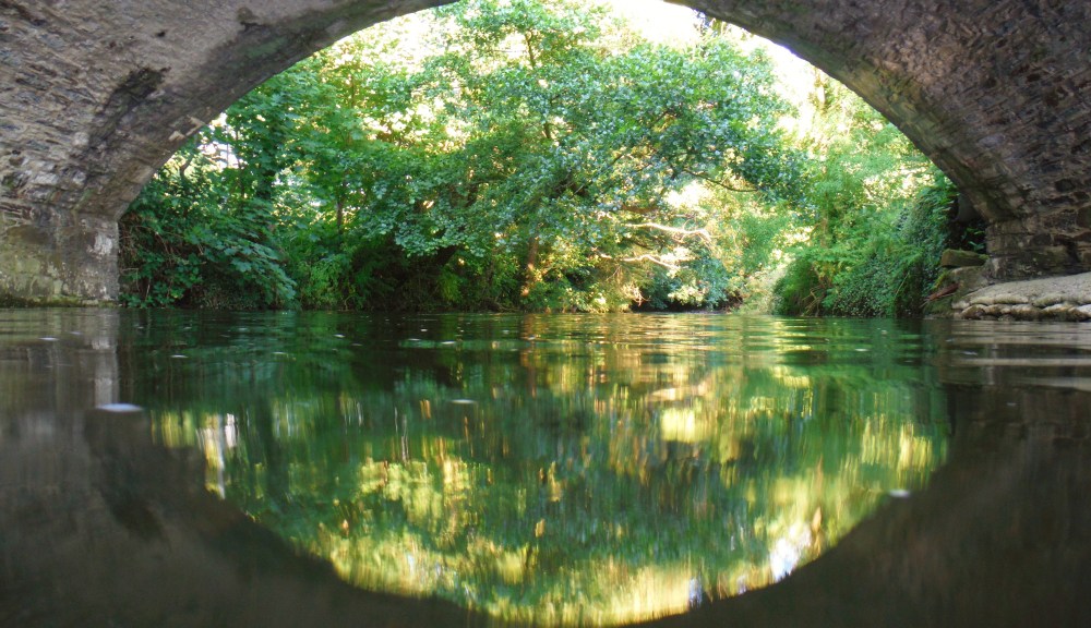 find your middle ground