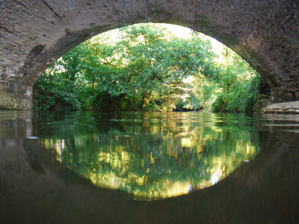 Haiku – Find Your Middle&nbsp;Ground