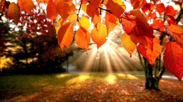 autumn sunshine
