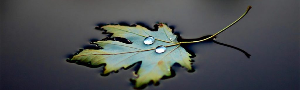 Tao Inspiration – Returning to&nbsp;Source