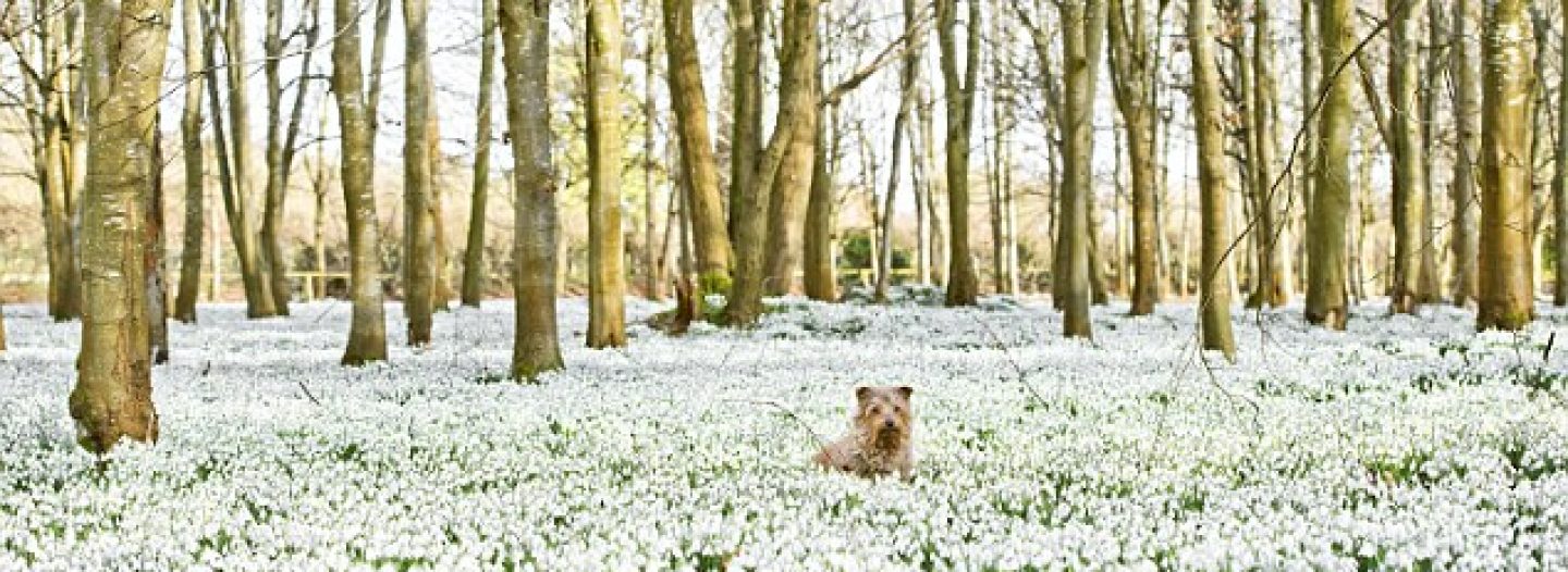 Find Your Middle Ground