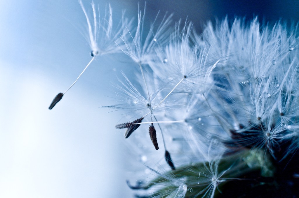 Inspiration – How to&nbsp;Change