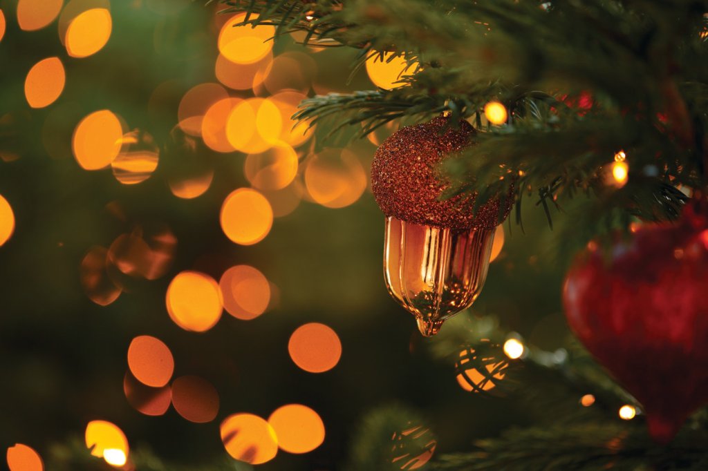 🌲 December Community News&nbsp;🌲