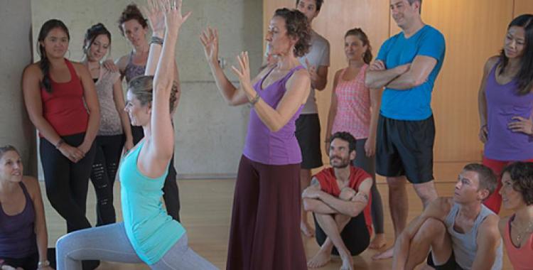 kripalu yoga teacher training