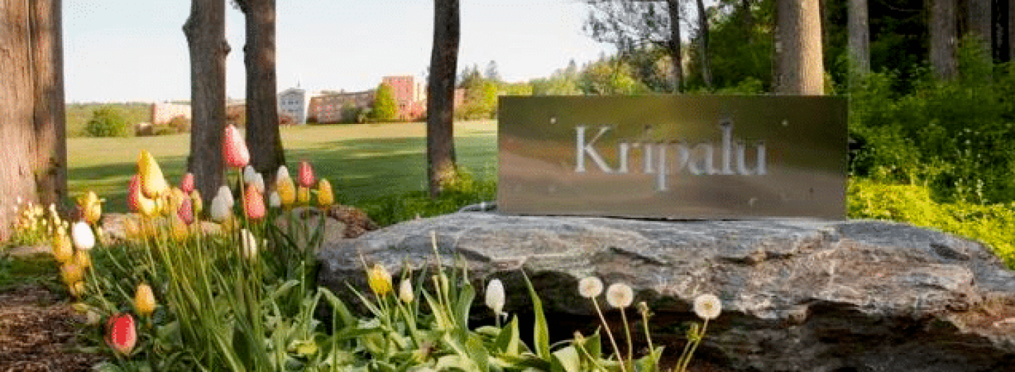 Find Your Middle Ground