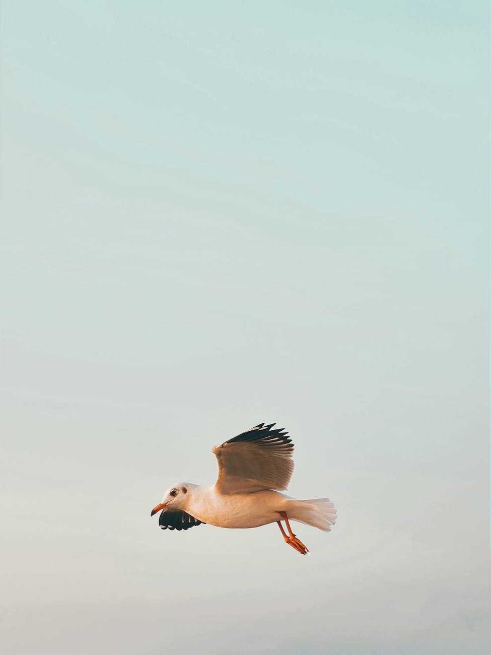 Inspiration – The Direct&nbsp;Path