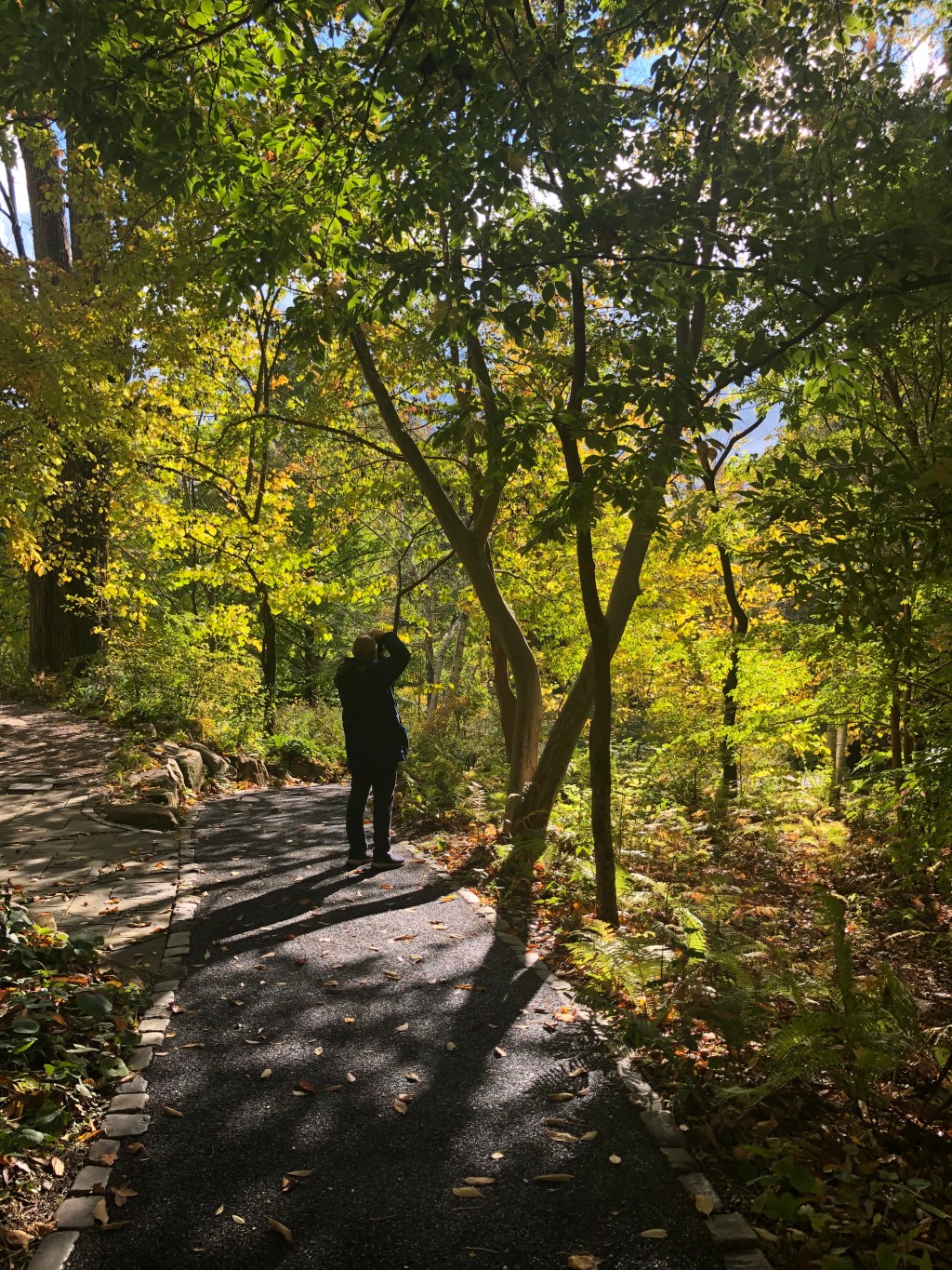 Haiku – embrace the&nbsp;light