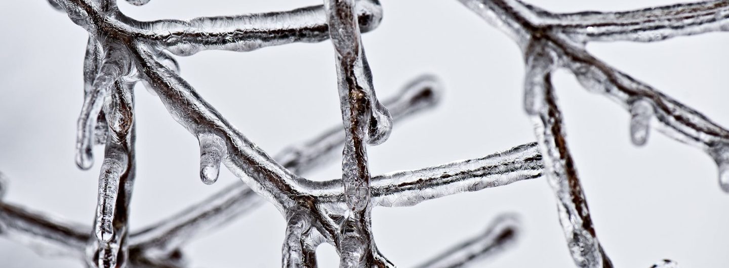 Find Your Middle Ground