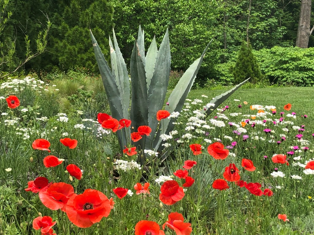 Haiku – shadow and&nbsp;light