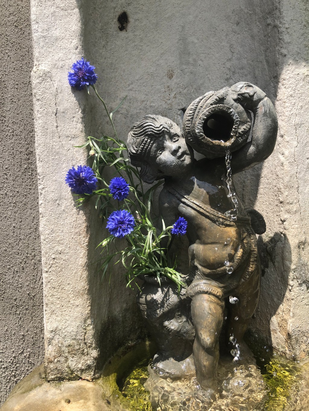 Chanticleer – becoming