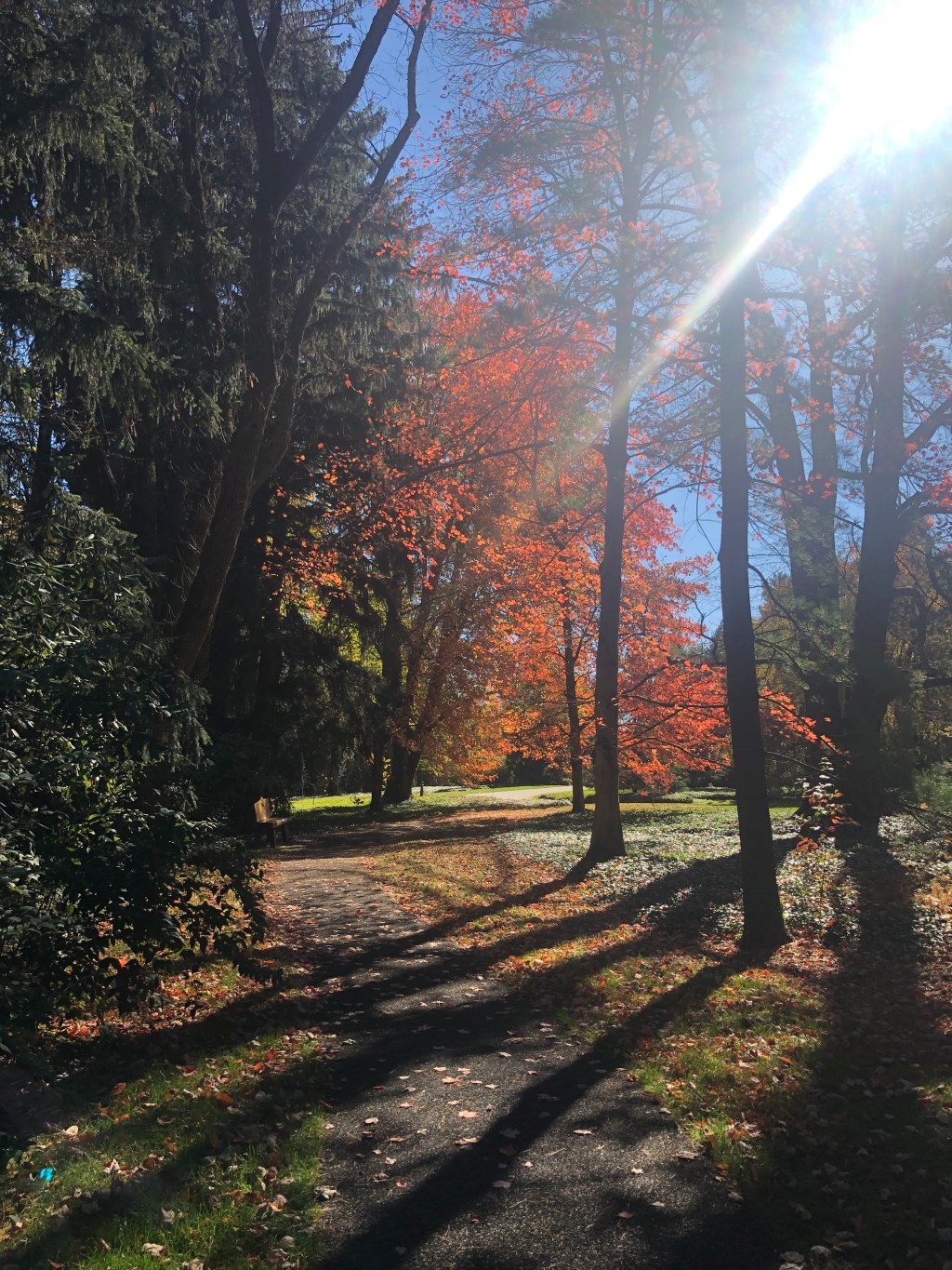 Inspiration – Walking in&nbsp;Nature