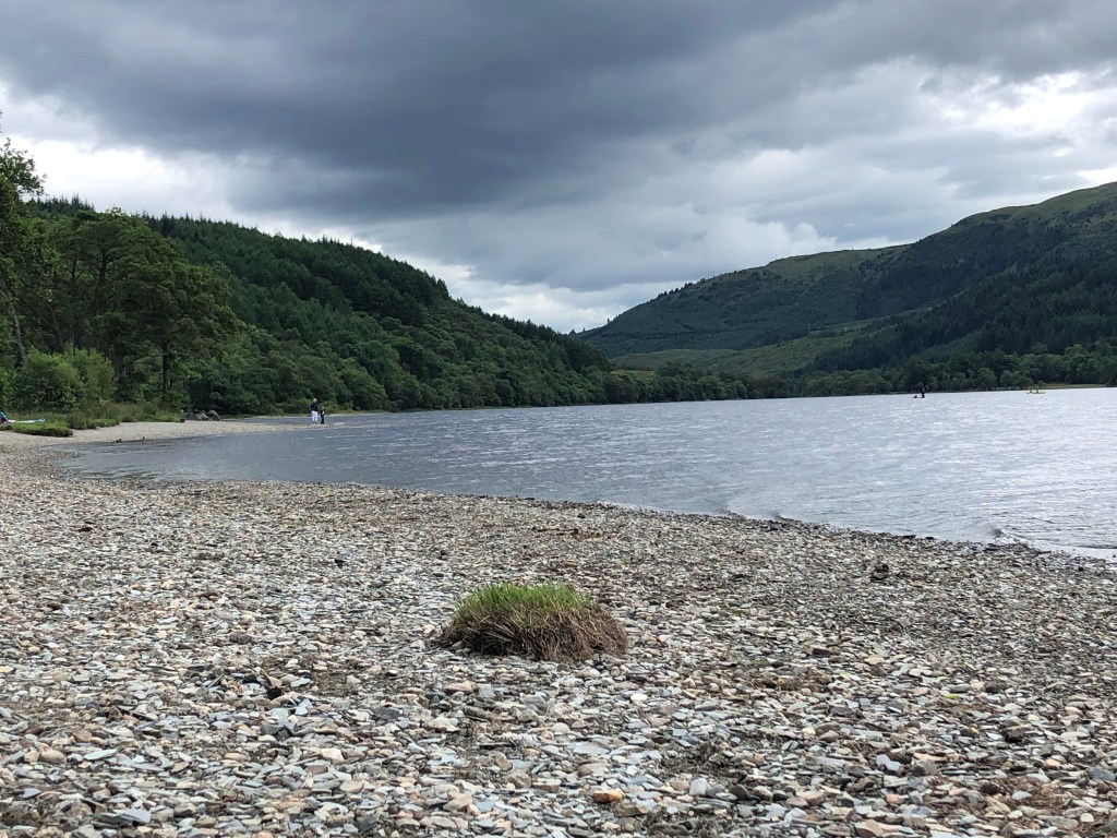 Take Refuge in Your Senses