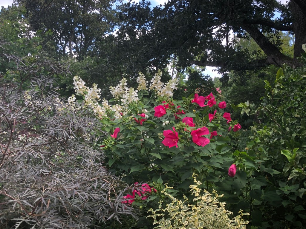 Haiku – late&nbsp;summer