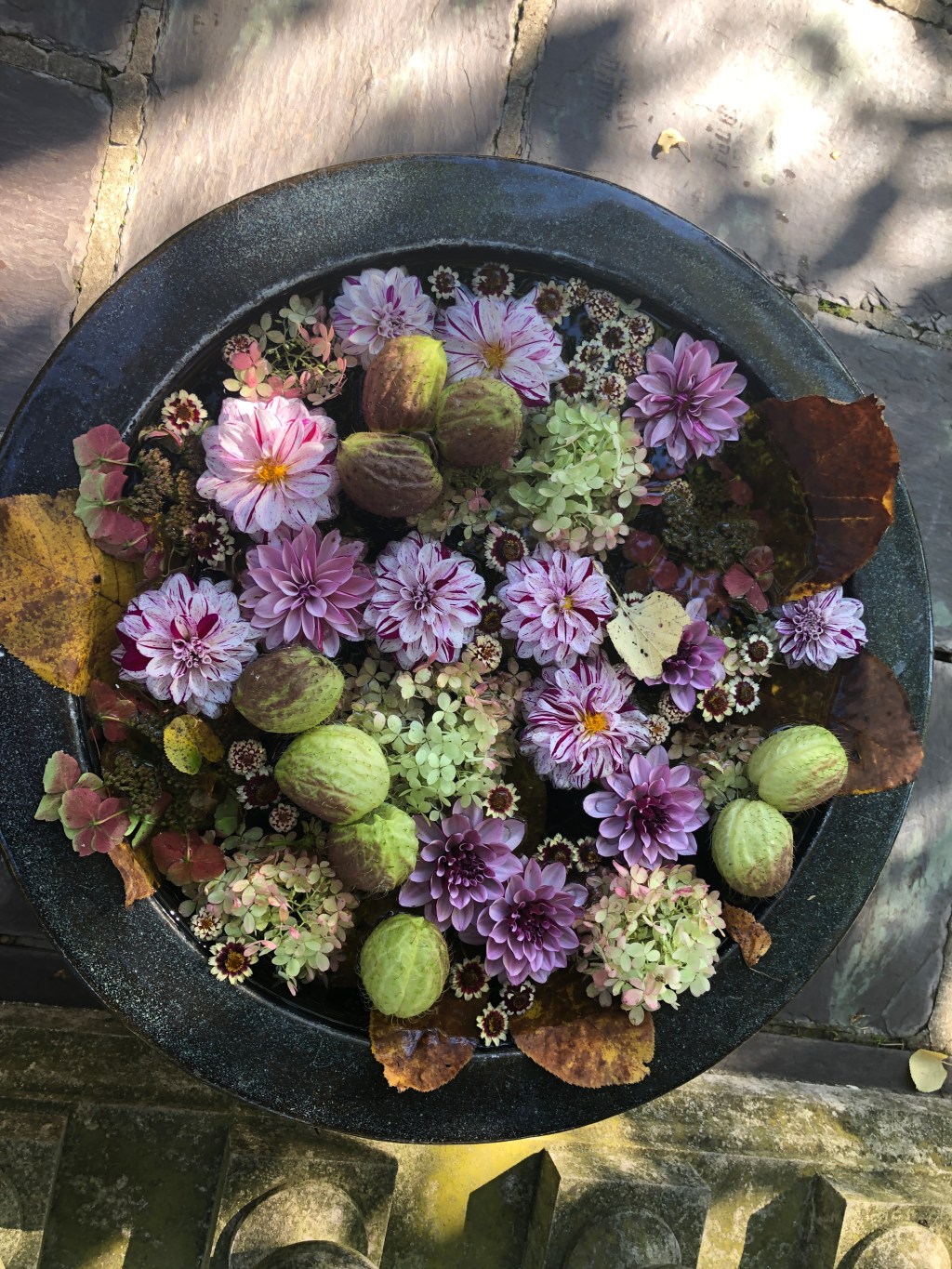 Silent Sunday – Chanticleer&nbsp;Gardens