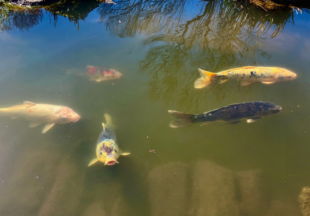 Sneak Previews – Chanticleer&nbsp;Garden