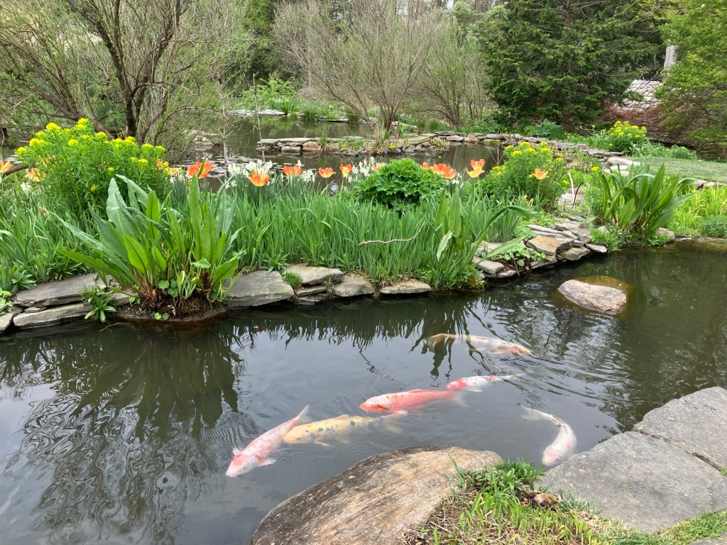 What Catches Your Eye?