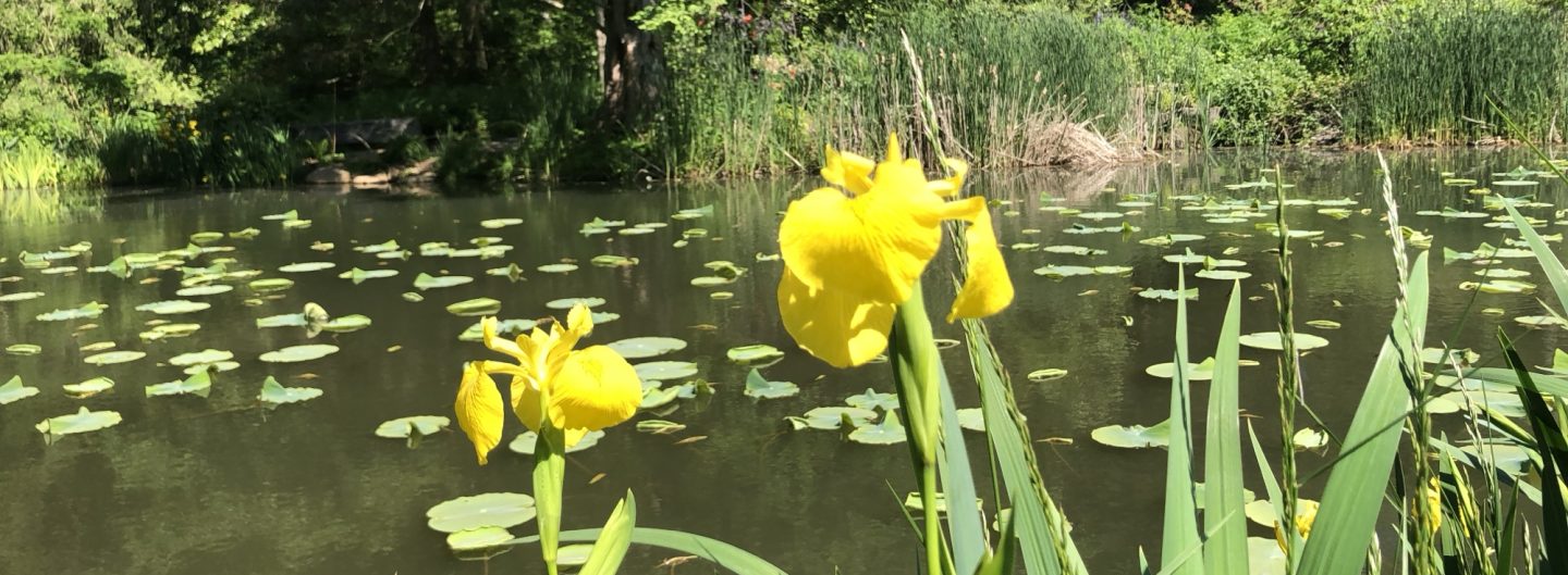 Find Your Middle Ground