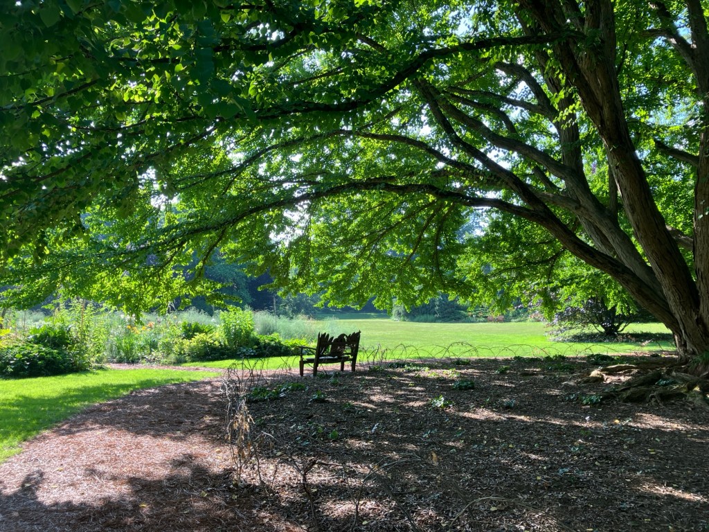 Chanticleer Summer Morning